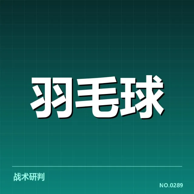 女双战术配合背后，队员间默契与策略引发关注